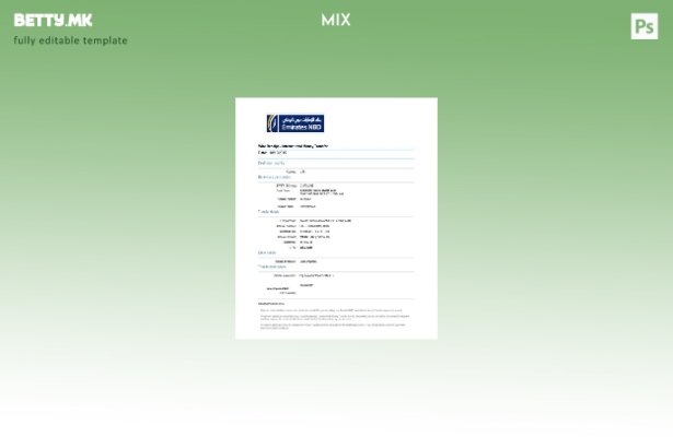 Шаблон за меѓународен трансфер на пари во модерен стил на ОАЕ NBD